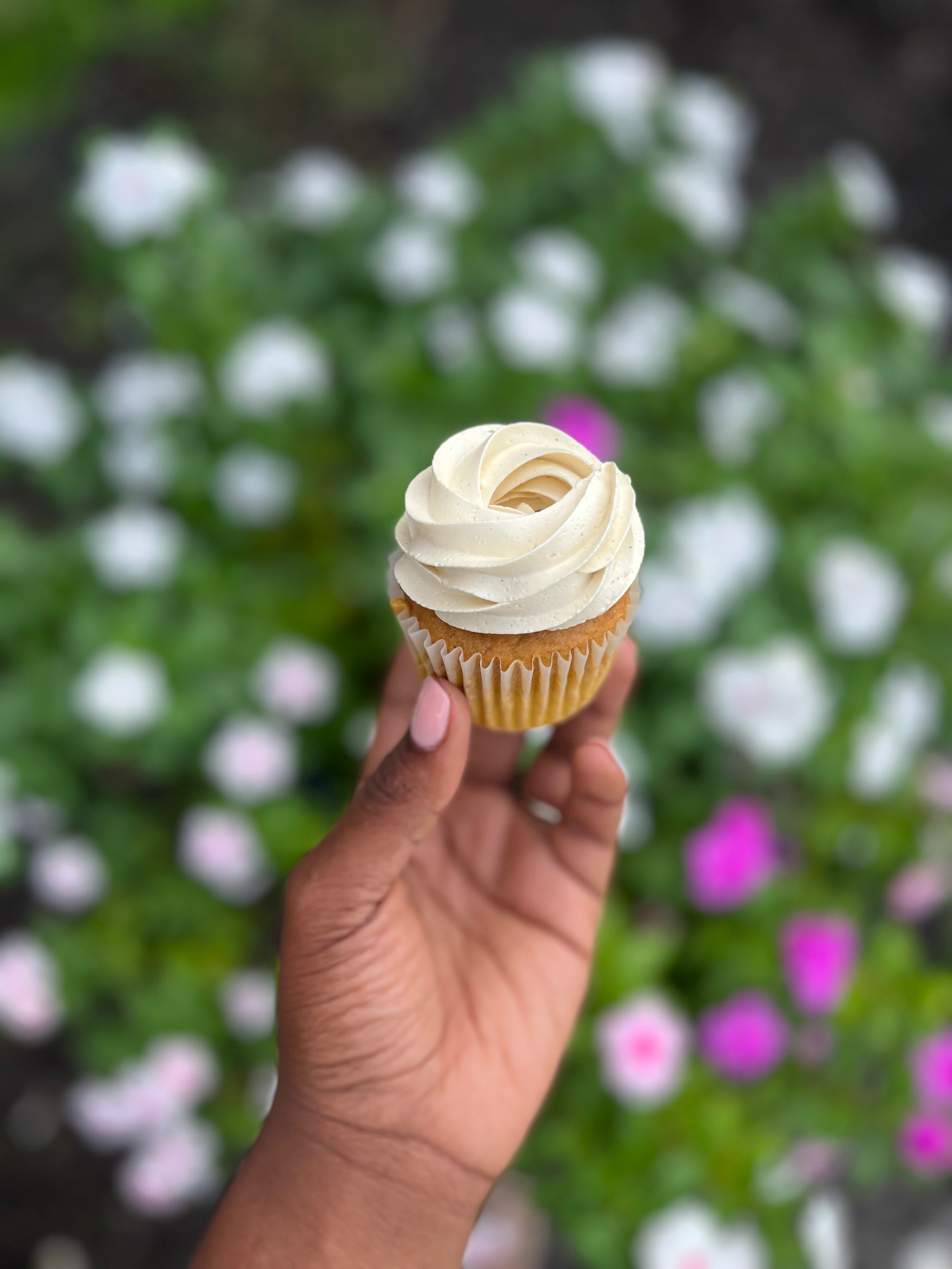 A vanilla bean cupcake with a tall rose swirl of buttercream in a fluted paper liner, held in front of a bed of pink and white flowers.